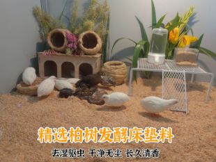 【柯尔鸭】柯尔除臭保暖分解便发酵床垫料生物清洁芦丁鸡笼子用品