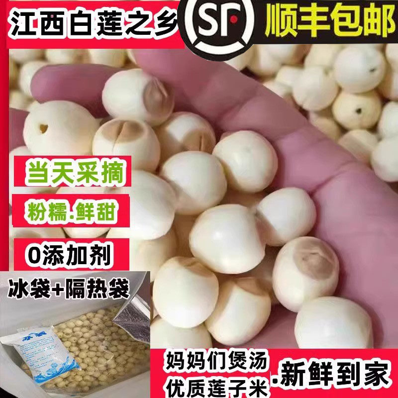 江西广昌白莲新鲜去皮去芯莲子米现摘剥壳新鲜湿莲子手工通心莲子