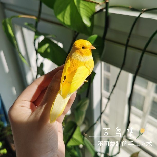 百鸟集原创设计 艺术手作仿真金丝雀小黄鸟发夹头饰肩章胸针