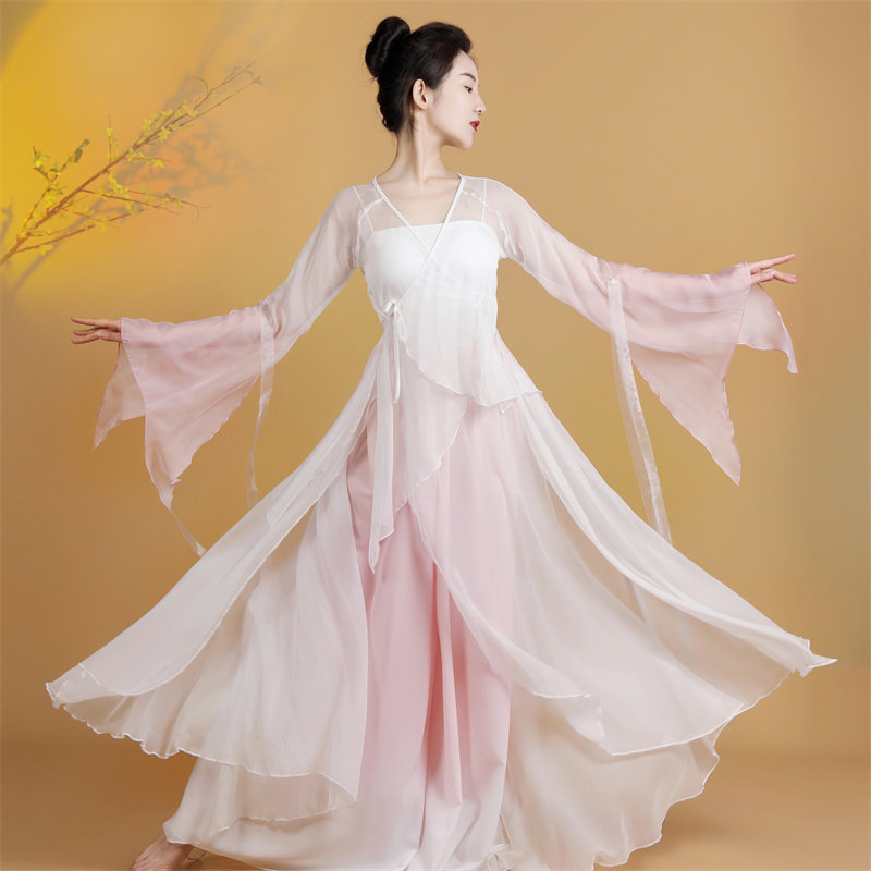 古典舞蹈服装女仙气飘逸中国风纱衣练功服古风演出服2024新款成人图片