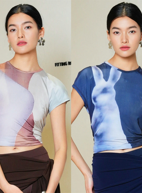 Moss烨 现货〓ODLYWORKSHOP〓小众设计师 印花薄纱短袖T恤上衣