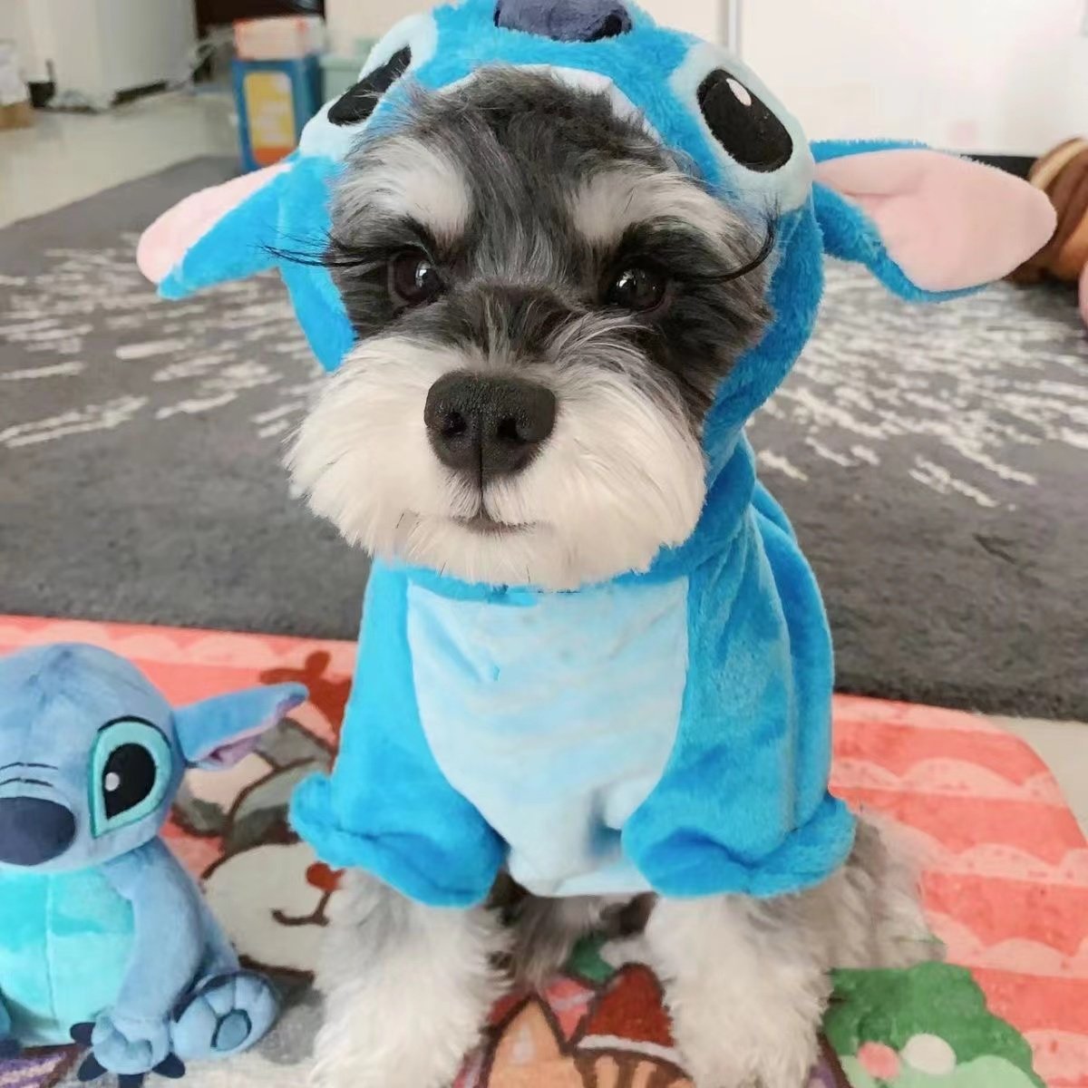 蓝色水晶绒史迪仔狗狗变身装宠物秋冬棉衣金毛泰迪狗衣服猫衣服