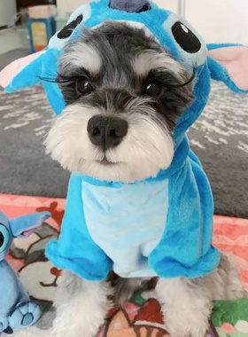 蓝色水晶绒史迪仔狗狗变身装宠物秋冬棉衣金毛泰迪狗衣服猫衣服