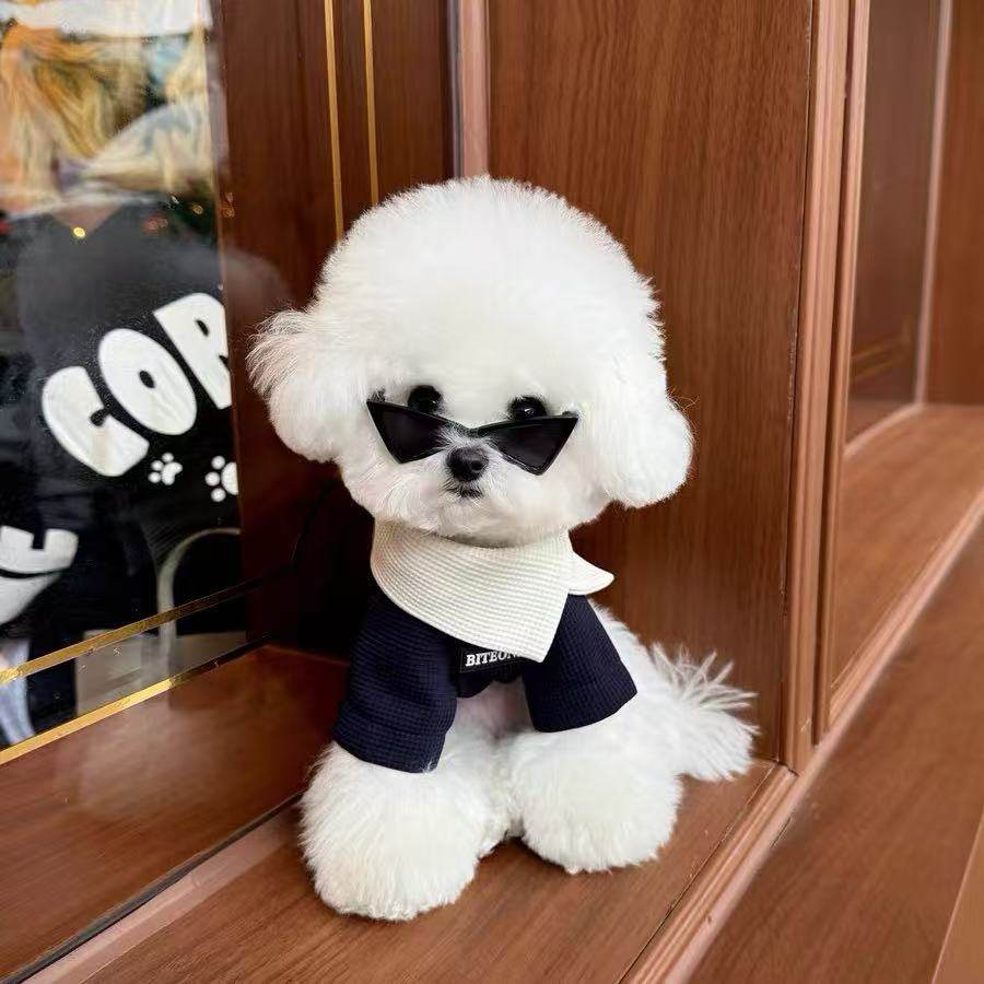 复古绅士狗狗衣服2025新款秋季小型犬泰迪比熊雪纳瑞宠物幼犬服装,宠物/宠物食品及用品,狗宠物服装/雨衣,淘宝优惠券,粉丝福利购,淘宝优惠卷