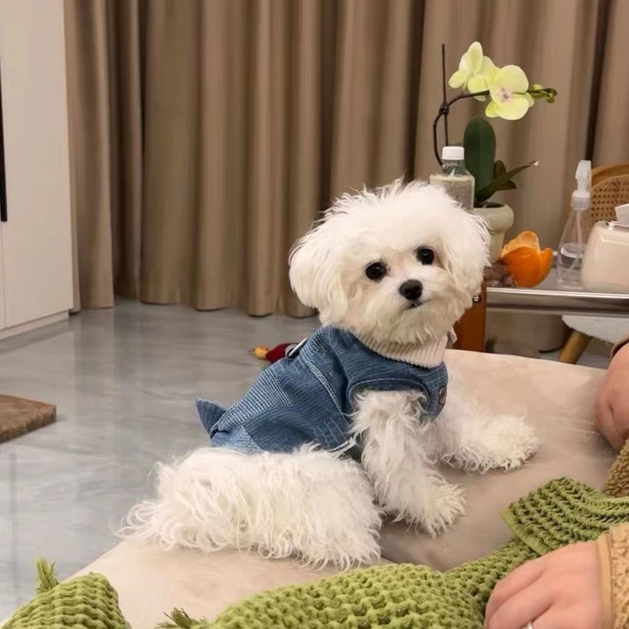宠物衣服狗狗复古牛仔马甲小型犬无袖外套可牵引帅