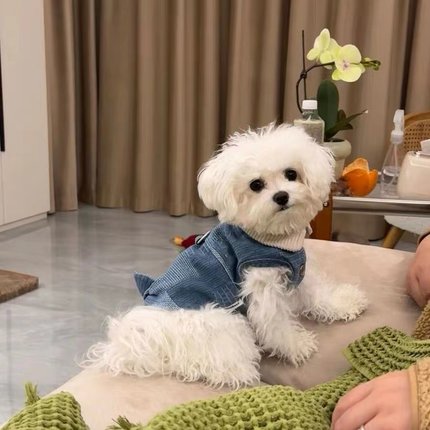 宠物衣服狗狗复古牛仔马甲小型犬无袖外套可牵引帅
