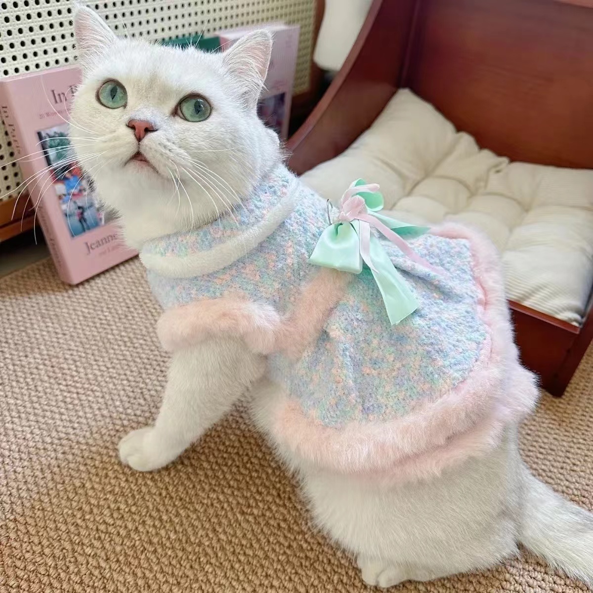 猫狗衣服秋冬保暖可牵引比熊泰迪背心幻彩蝴蝶结裙子加绒宠物衣服