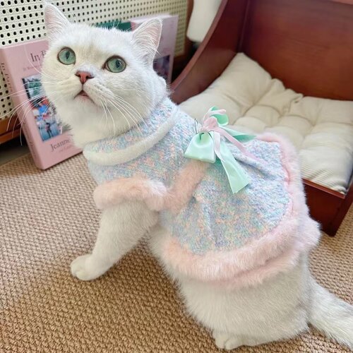猫狗衣服秋冬保暖可牵引比熊泰迪背心幻彩蝴蝶结裙子加绒宠物衣服