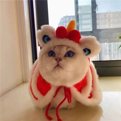 圣诞节猫咪醒狮服头套新年披风宠物舞狮服装新春变身装披风斗篷