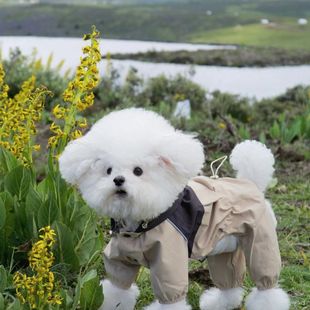 小狗衣服防风冲锋衣外套泰迪比熊雪纳瑞大中小型狗狗洋气保暖四脚