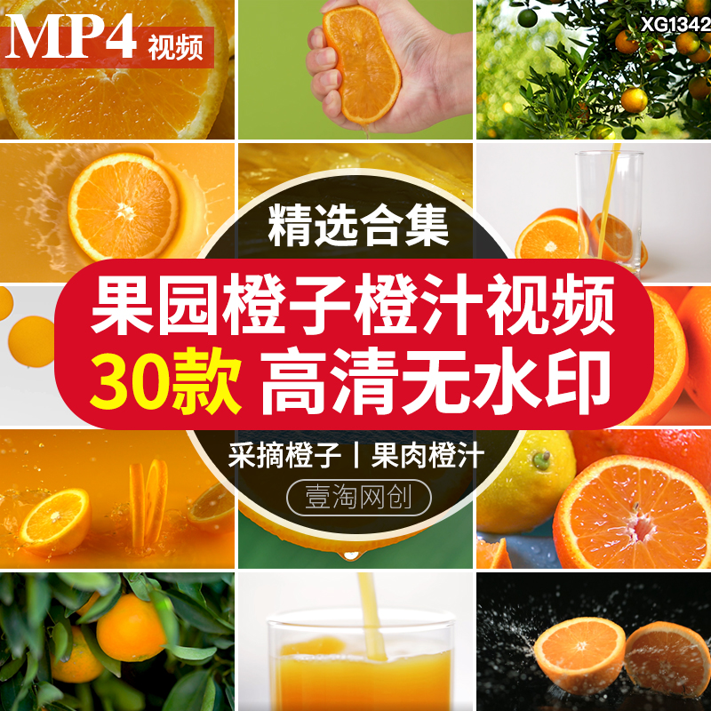 采摘下新鲜橙子橙树水果实切开橙片果肉特写挤橙汁短视频剪辑素材