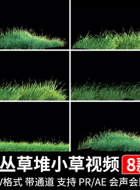 绿色草丛小草摆动青草堆草地alpha透明通道pr/ae合成视频剪辑素材