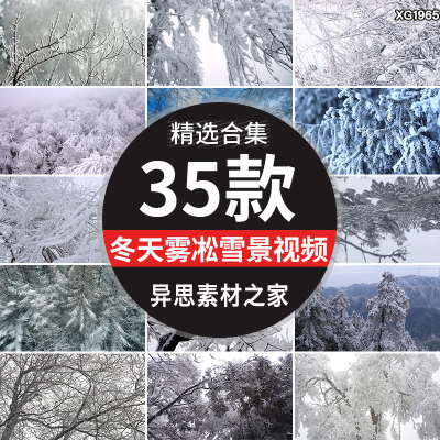 冬季冬日冬天雾凇树枝雪松积雪景冰天雪地雪野特写短视频剪辑素材
