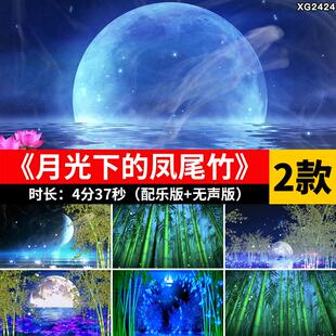 月光下的凤尾竹 月色月亮竹林竹子云南傣族葫芦丝LED背景视频素材