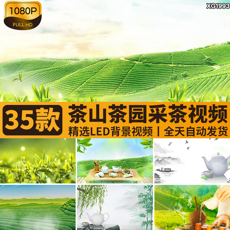 茶园茶叶采茶山茶艺舞台舞蹈表演出晚会LED屏幕动态背景视频素材