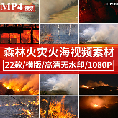 森林树林火灾防火大自然灾害火海野火山火势蔓延燃烧视频剪辑素材