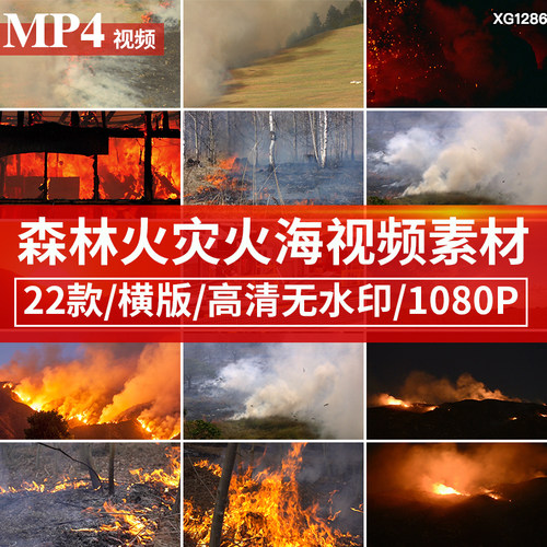 森林树林火灾防火大自然灾害火海野火山火势蔓延燃烧视频剪辑素材