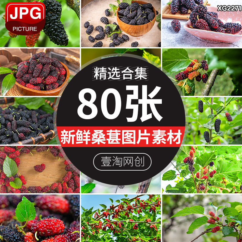 黑桑葚子桑果桑叶桑树果实特写新鲜水果浆果农产果园照片图片素材