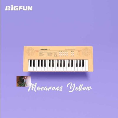 热爱音乐的周川37键电子琴乐器益智早教启蒙玩具Bigfun乐器