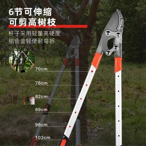 海远品质优选粗枝果树剪枝剪刀园林强力剪子