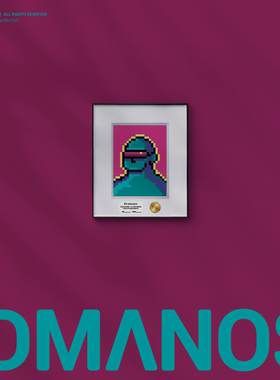 idmanos限量艺术微喷像素装饰画版画 | EXPERIMENTER