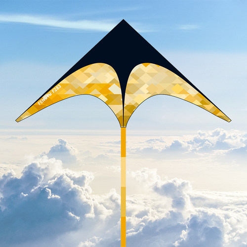 好飞的黑金三角风筝带线轮套装