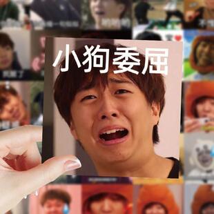 120张小潮院长表情包贴纸ins搞笑趣味创意手机壳装饰手账贴画防水