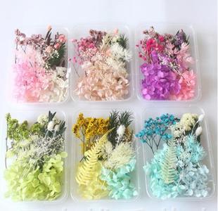 干花包永生花盒压花材料包零碎雏菊满天星小白花香薰浮油手工贴画