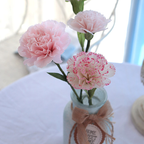 花心思纸艺 皱纹纸康乃馨DIY材料包手工花束 手工纸花diy材料包 - 封面