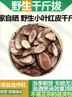 深山野生小叶红皮千斤拨中药材老鼠尾透地龙一条根钻地风煲汤泡酒