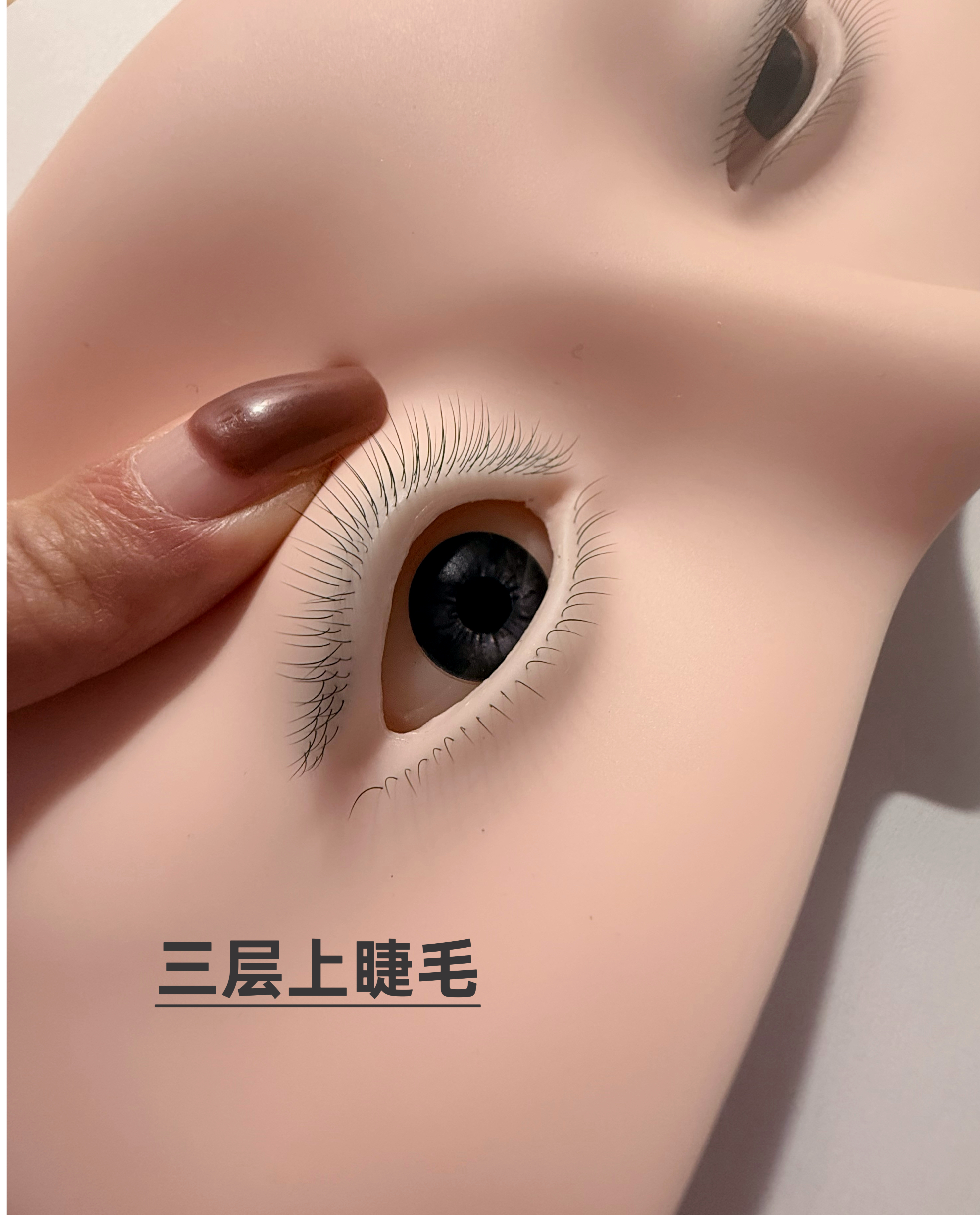 美睫培训练习工具嫁接假睫毛新手可提拉假人头眼睛三层上睫毛头模