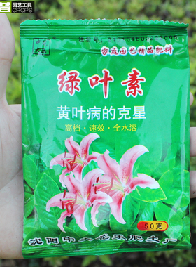 植物绿叶素 叶面肥料一喷绿园艺多肉花卉黄叶枯叶病 绿色植物盆栽
