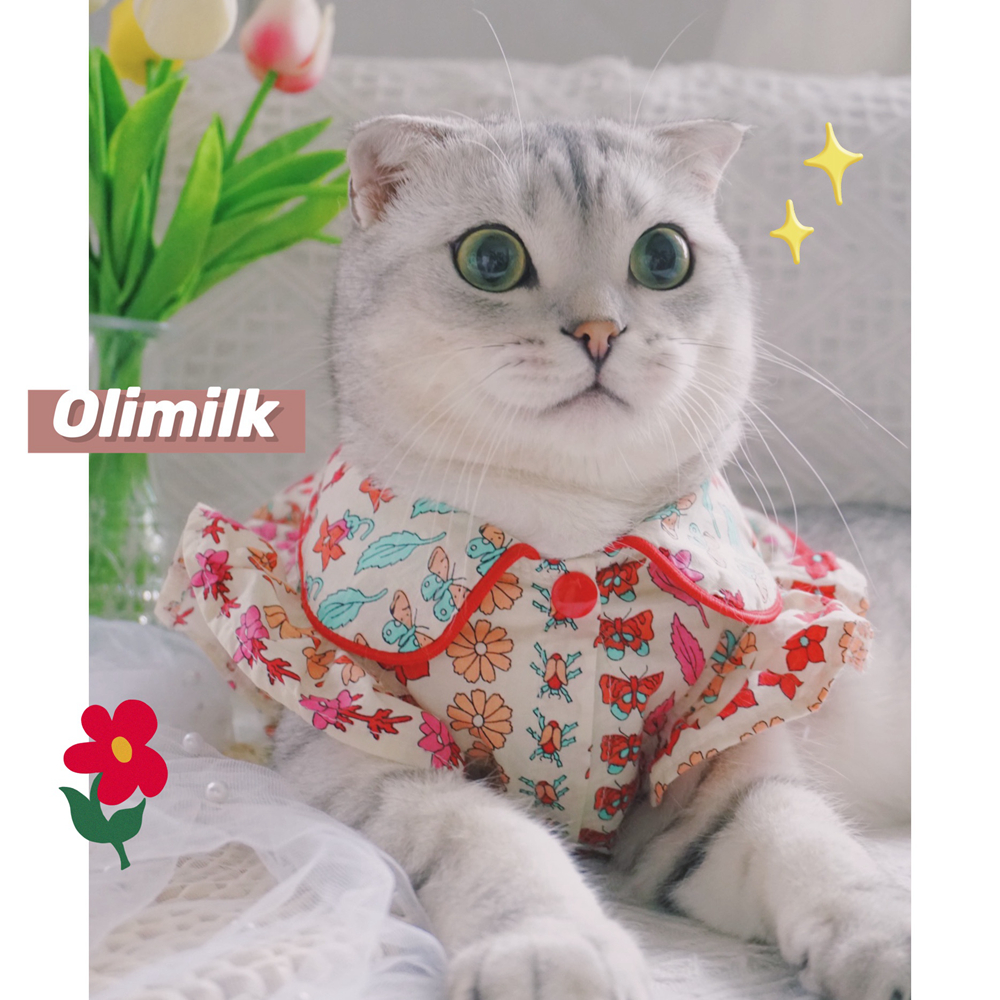 可爱裙子宠物猫咪狗狗春夏衣服