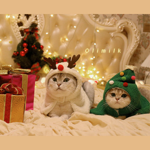 【Olimilk】马年新年圣诞装扮小斗篷鹿角圣诞树宠物猫咪狗狗饰品
