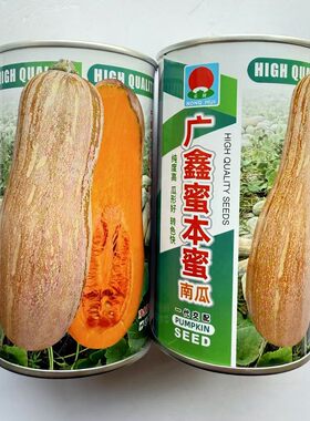 广鑫蜜本南瓜种子正品大果甜蜜本南瓜种籽粉糯香甜肉橙红色水分少