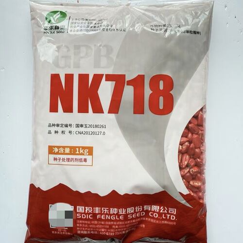 丰乐NK718玉米种子高产大棒抗倒南北方包谷种国审抗病抗旱耐涝