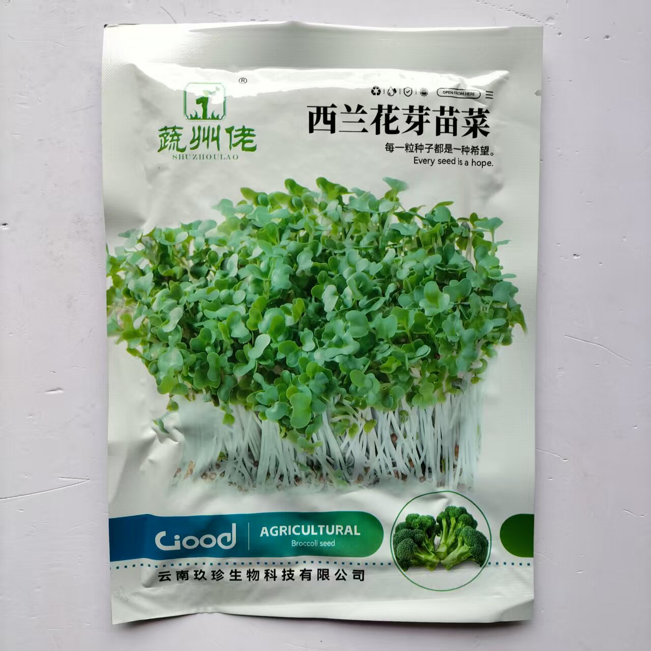 水培西兰花芽苗菜种子四季种植水蔬菜种子/种苗
