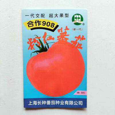 合作908粉红番茄种子杂交中早熟高秧型产量高酸甜适中口感佳抗病