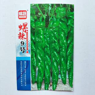 绵蔬螺辣9号螺丝椒种子中早熟亮绿螺旋高产抗病品质好农家春秋播