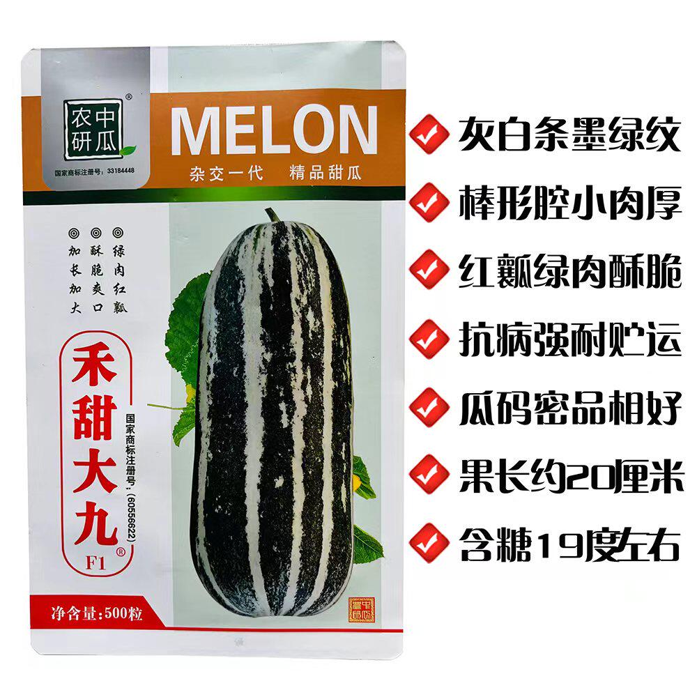 禾田大九薄皮杂交加长甜瓜种子绿肉红瓤酥瓜种籽酥脆香甜大田种孑图片