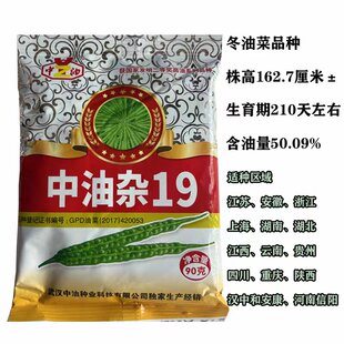 油菜浙油高油19油菜籽中油中油易机收抗倒伏515628抗病杂高产种子
