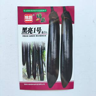 绵蔬黑亮1号长茄子种子油黑靓丽美观顺直高产抗病南北方春秋播种