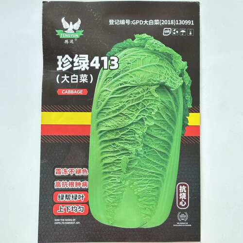 珍绿413 大白菜种子 口感好油绿大棵高产抗病商品性佳 农家秋季播