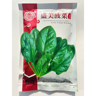 金盛达盛美菠菜种子杂交高产耐热耐寒大叶菠菜籽春秋季播蔬菜种孑
