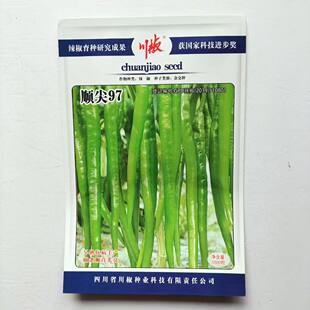 顺尖97辣椒种子杂交种子早熟新品种蔬菜种子高产抗病菜顺直菜种籽