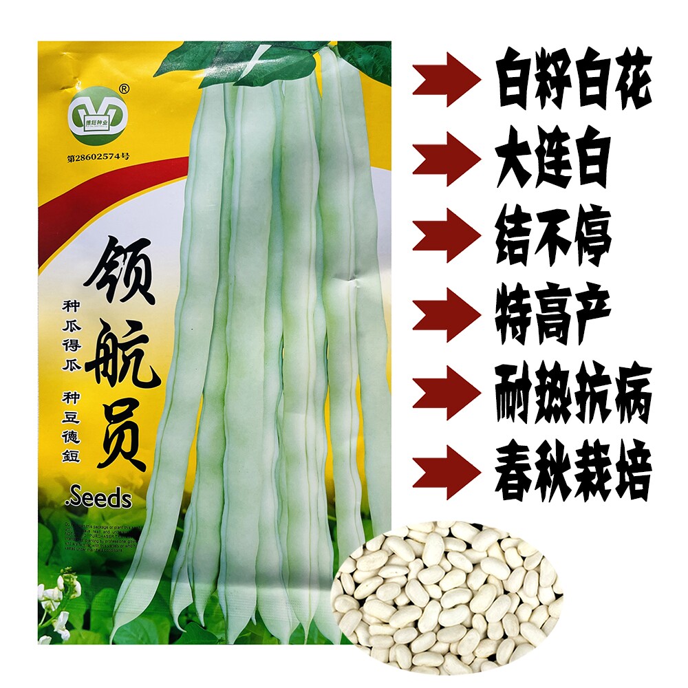 领航员架豆王种子九粒白芸豆角早熟四季豆种籽春季播高产蔬菜种籽图片
