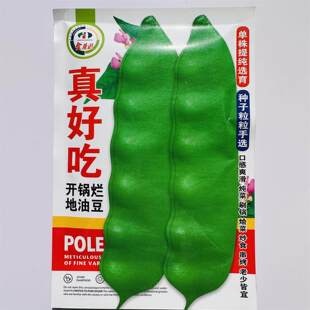 真好吃地油豆不上架油豆角种子高产抗病耐热耐寒基地种植蔬菜种子