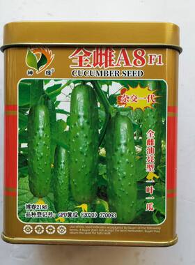 全雌A8F1黄瓜种子孑绿皮绿肉水果黄瓜种籽节节瓜南北方春秋四季播
