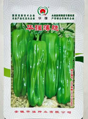 华强薄脆辣椒种子蔬菜种子薄皮椒早熟果大连续坐果能力强抗病大田