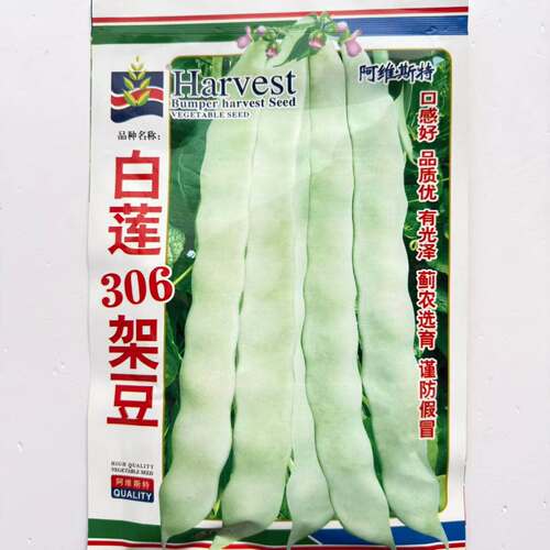 白莲306白莲303架豆种子早熟高产绿白荚架豆种子长扁架豆菜豆种子